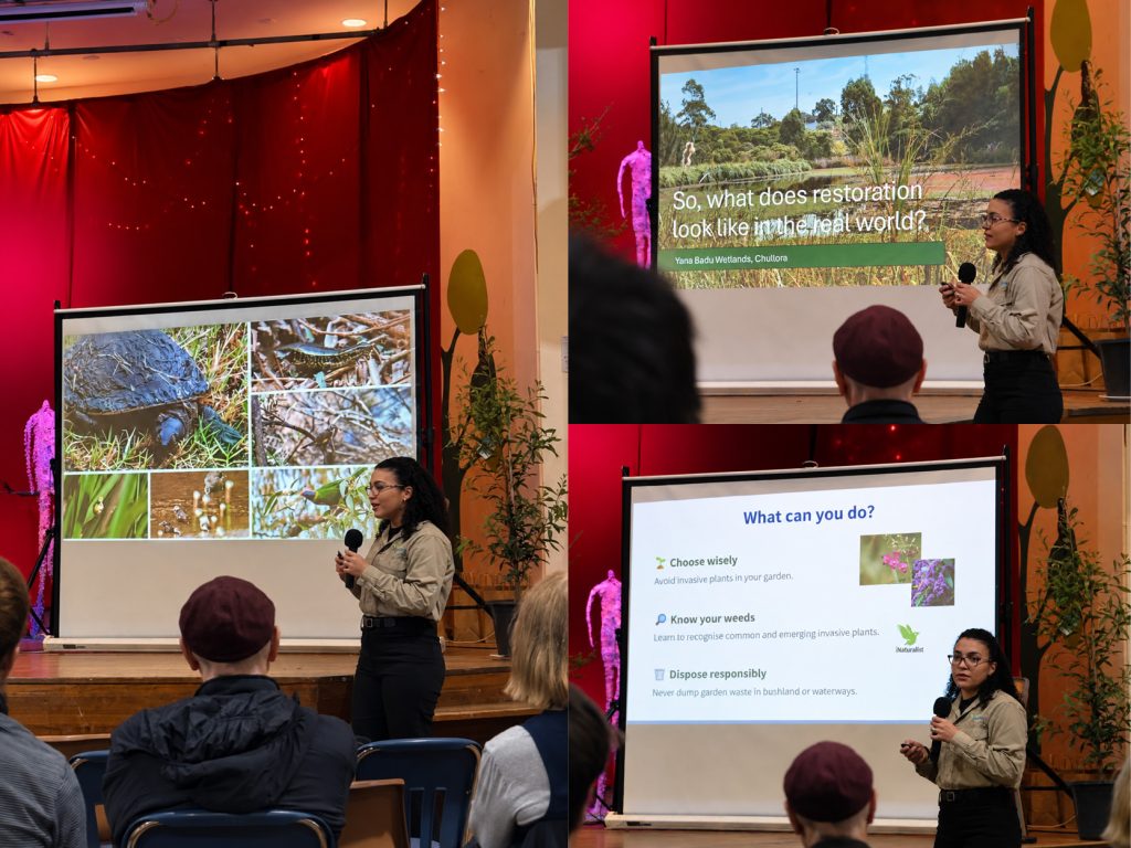 EcoFest Images_1